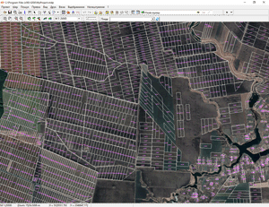 LAYER GOOGLEMAP FOR THE CHOSEN COORDINATE SYSTEM